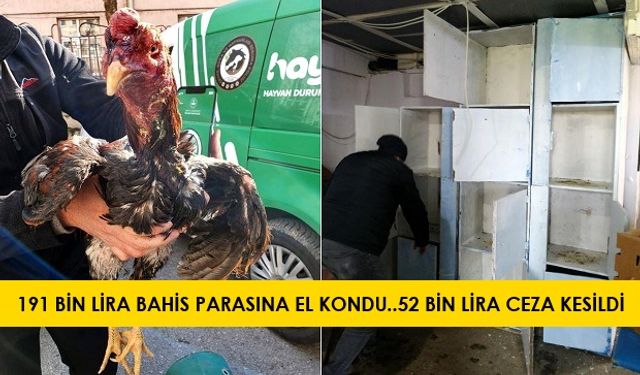 Horoz Dövüşlerinde 54 Kişi Yakalandı..