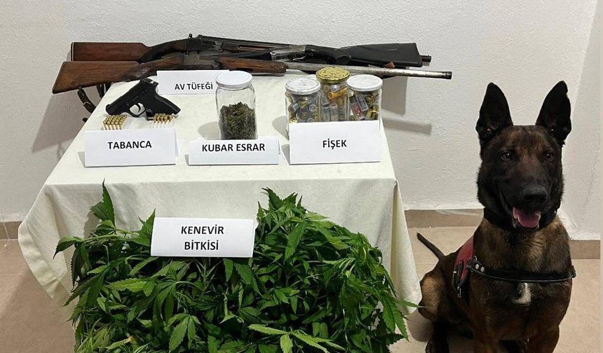 Biga'da zehir tacirlerine operasyon