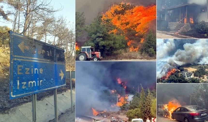 4 Yangında 5 Bin 236 Hektar Orman Zarar Gördü