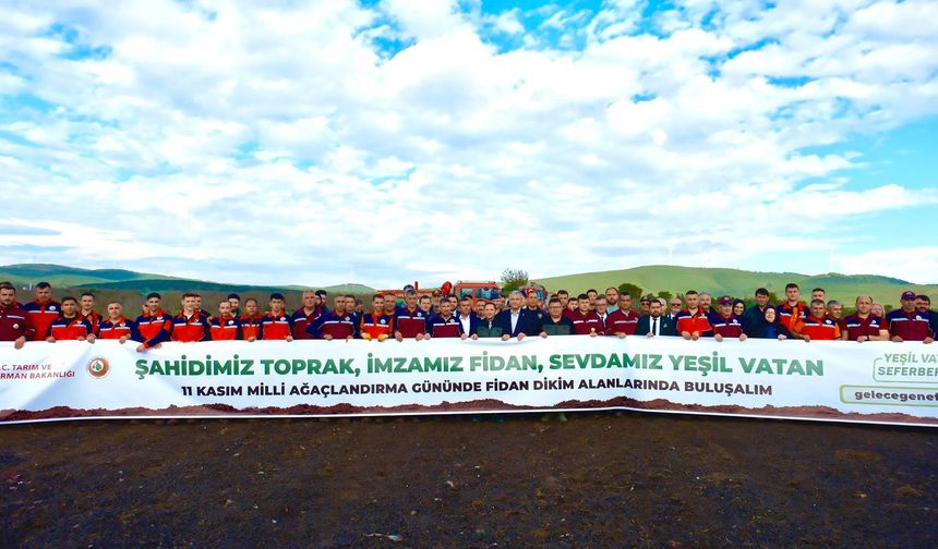 Biga’da yazın yanan yere 3500 fidan dikildi
