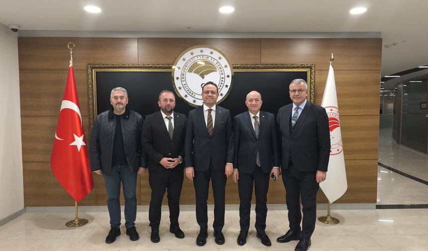 Karabiga’da Şeremetdere Köprüleri Yenileniyor