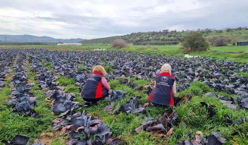 Tarladan sofraya sağlık için teknik inceleme