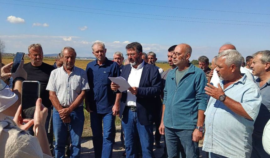 Biga Ziraat Odası Başkanı Ergün: "TMO Çeltik Fiyatını Derhâl Açıklamalıdır"