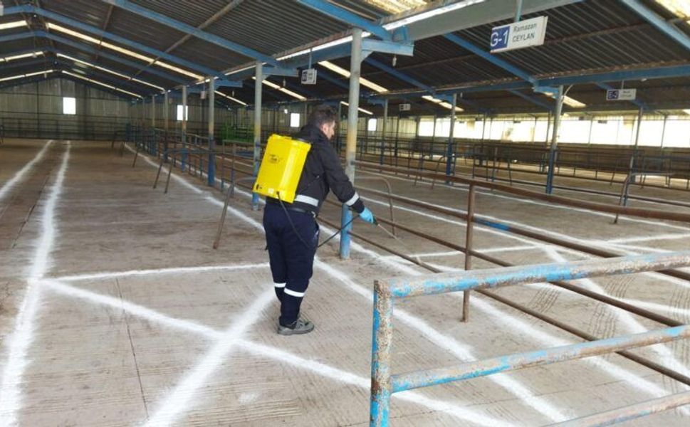 Biga'da şap hastalığı nedeniyle hayvan pazarı kapatıldı