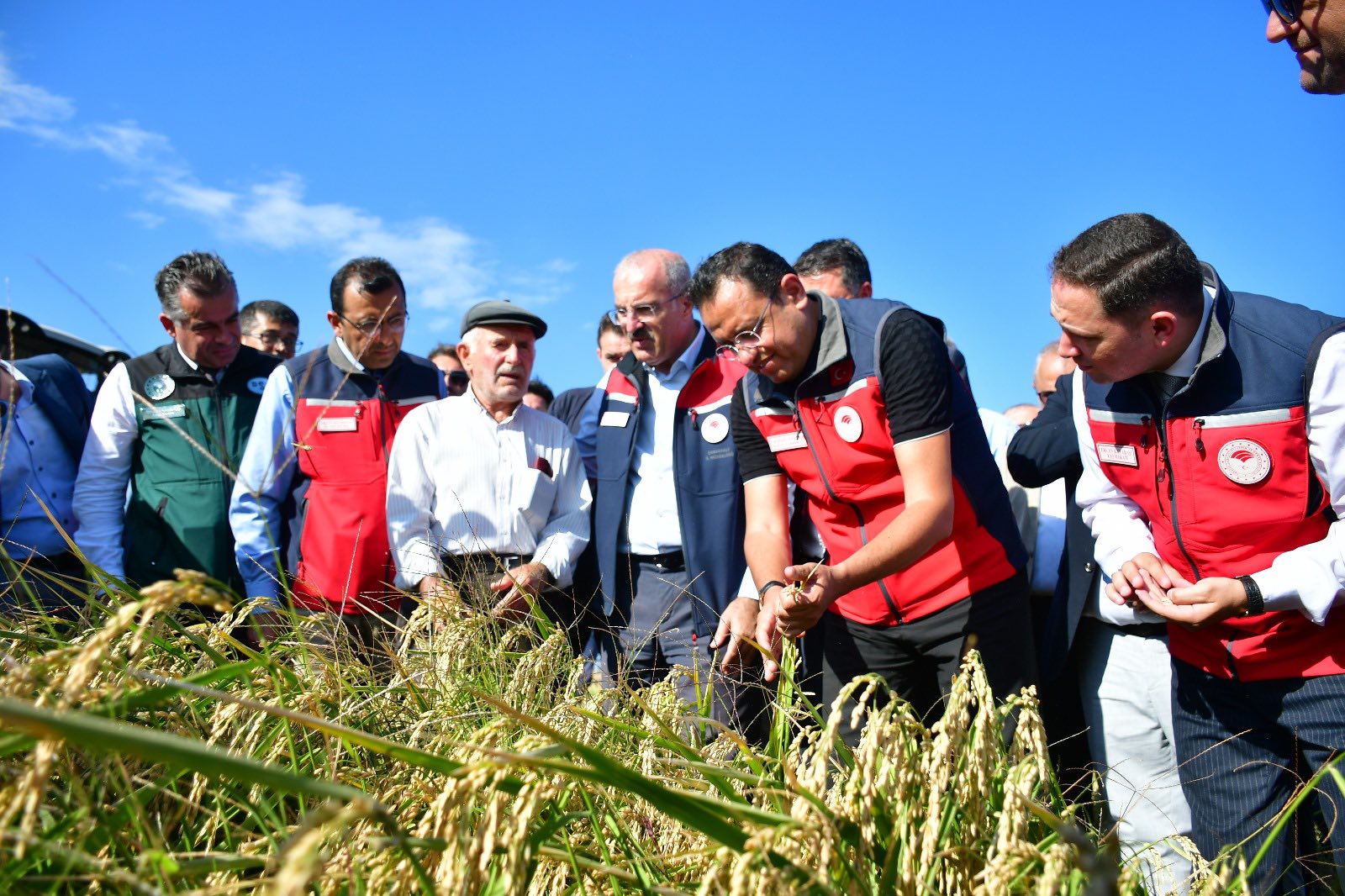 547888290 1082174134086629 9217580419782023038 N