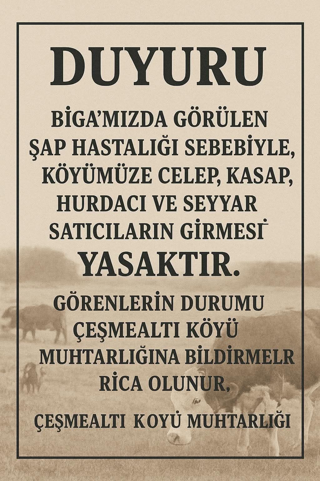 571244906 10162950948578913 3886360538404037660 N