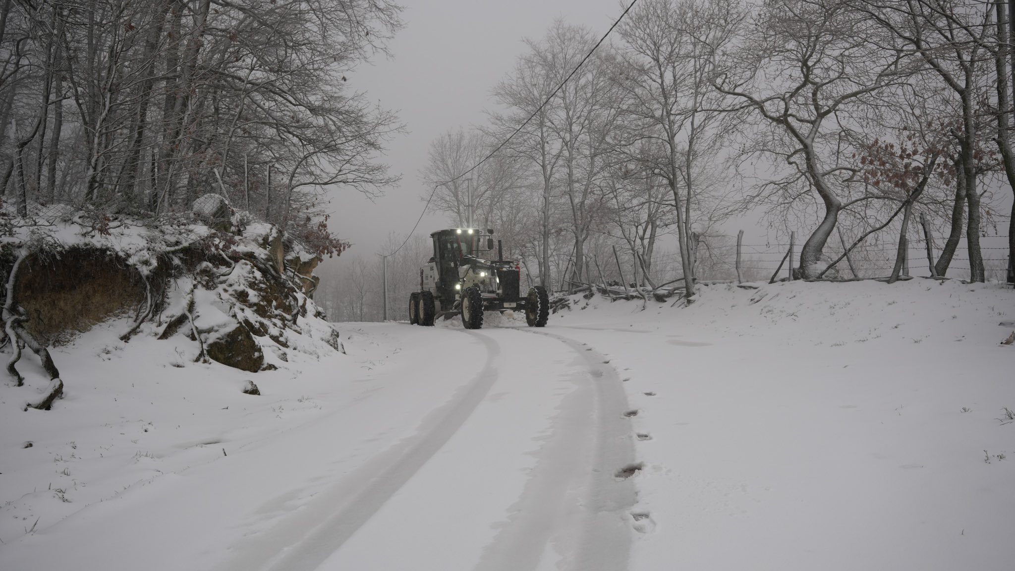 615207060 25462070480129121 5348908710412462170 N