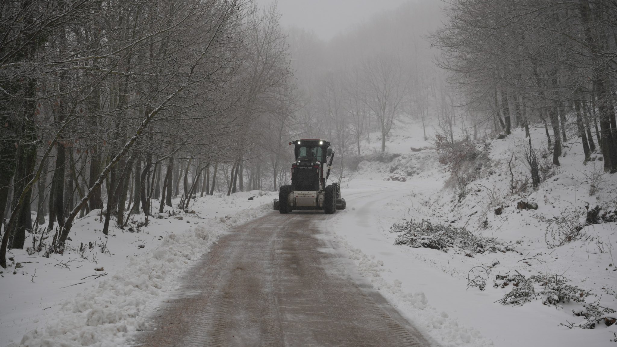 615260582 25462070513462451 7867230221004340478 N