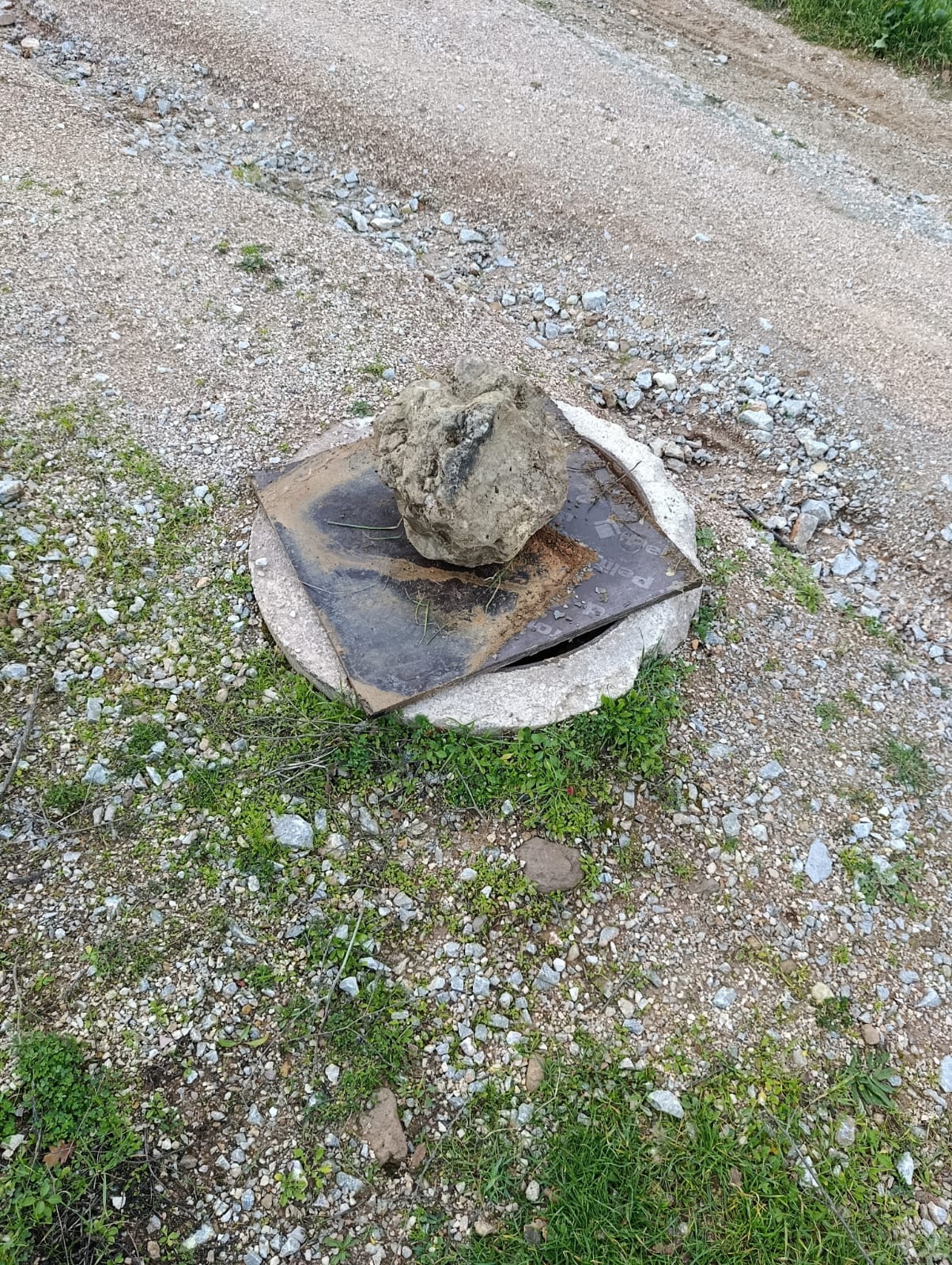 Whatsapp Image 2026 01 28 At 16.09.34