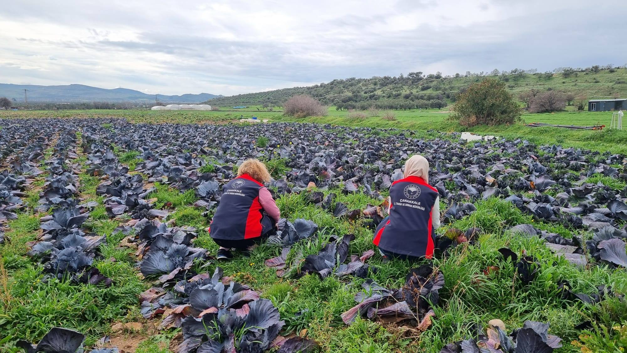 633254303 1518953589792123 2204956978293333216 N