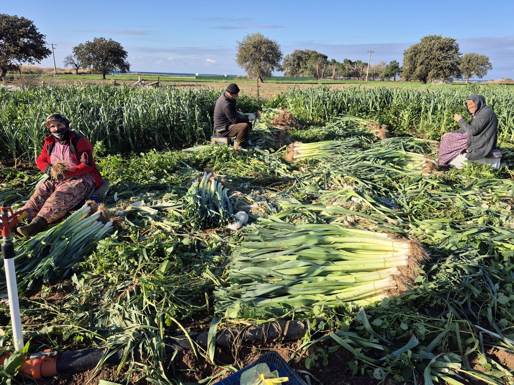 633392828 1518953516458797 1626623600868067440 N