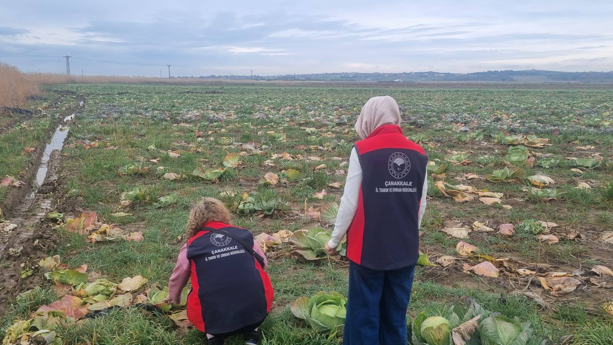 634307135 1518953756458773 1282290315038620878 N