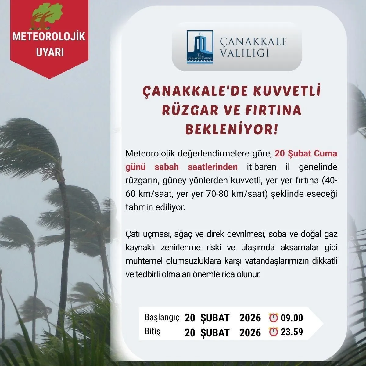 I M G 20260219 W A0110.Jpg