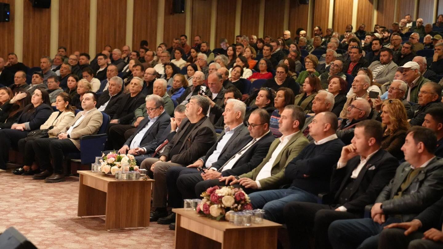 672252074 1261791232775288 1513725018464060836 N-1