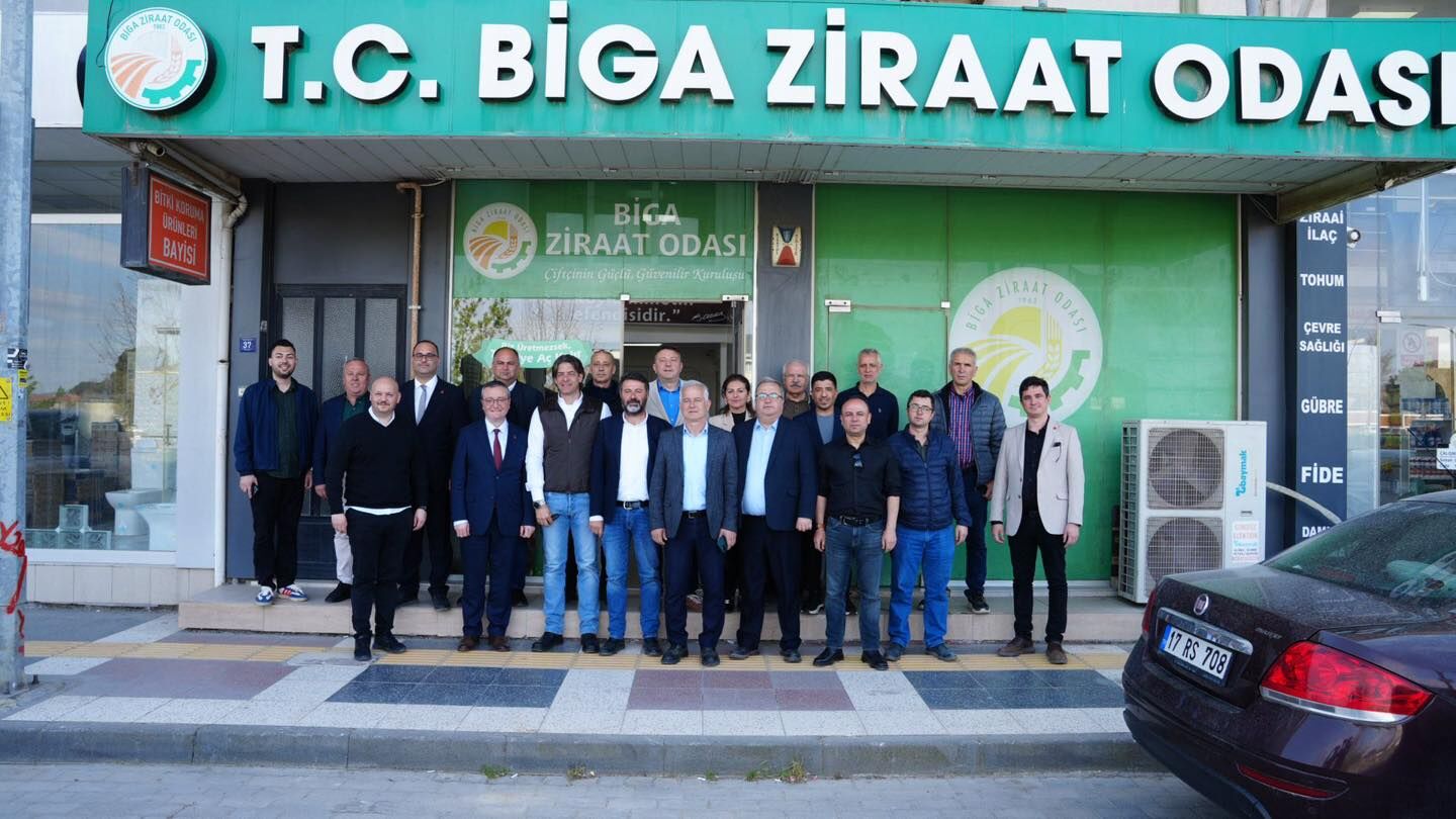 674189587 1261791136108631 5527150769028416775 N-1