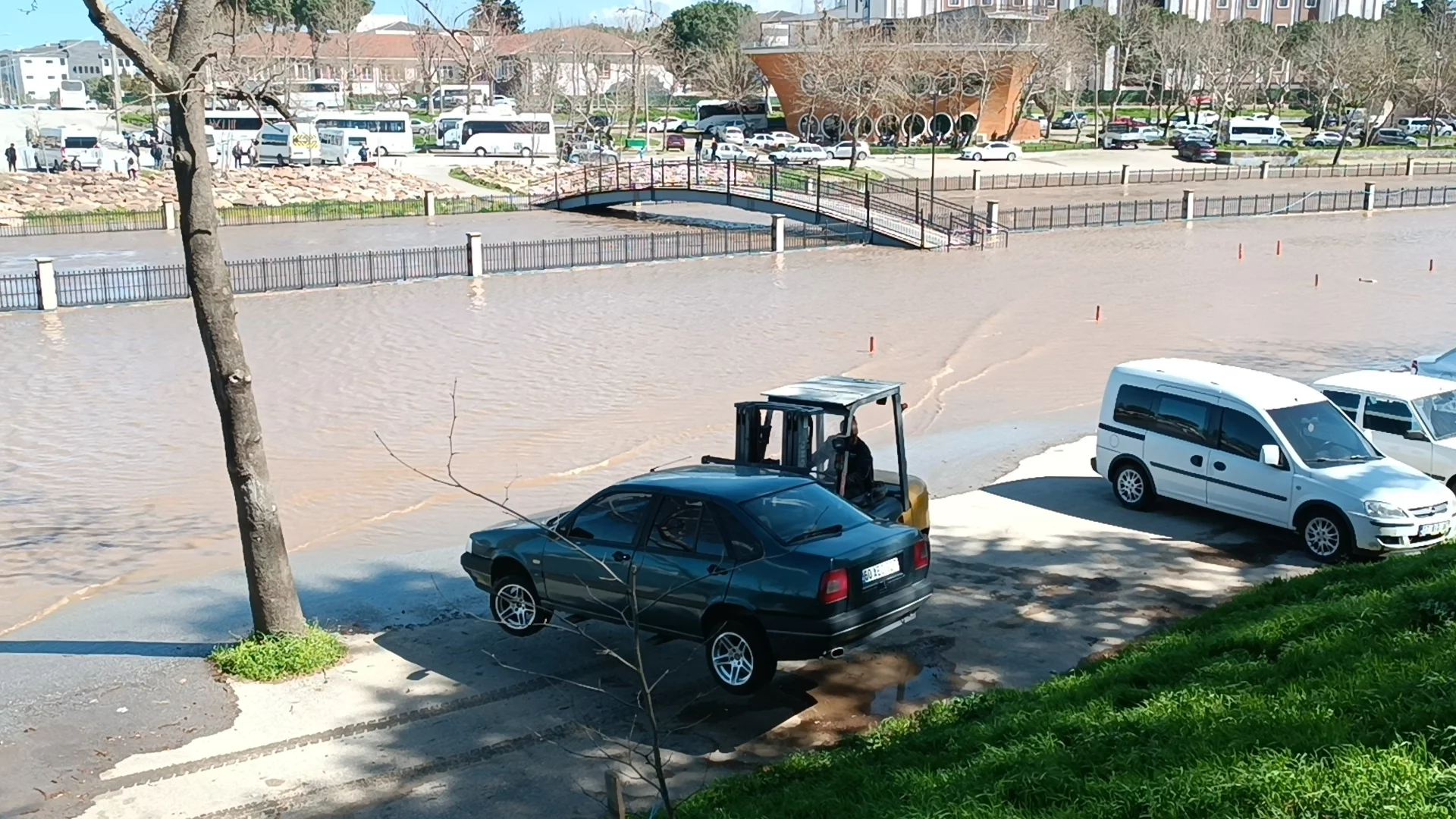 I M G 20260402 150947.Jpg